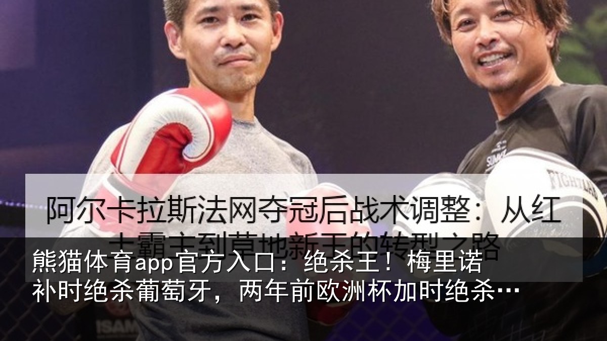 熊猫体育app官方入口：绝杀王！梅里相关情况，两年前欧洲杯加时绝杀德国