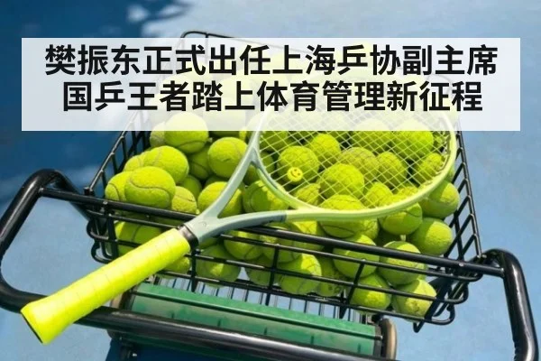 樊振东正式出任上海乒协副主席 国乒王者踏上体育管理新征程